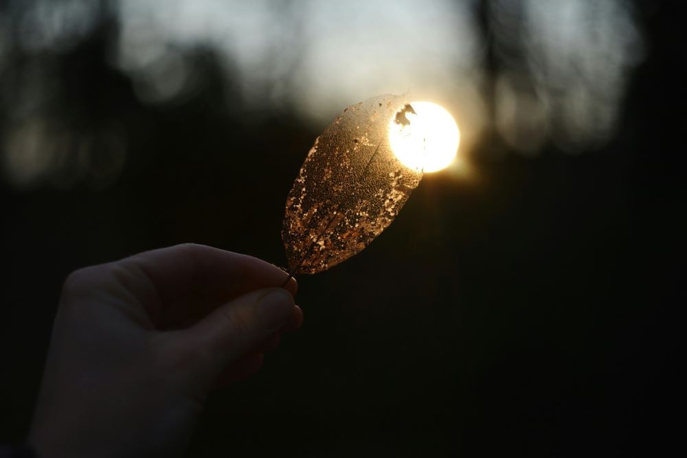 Finding Light Again