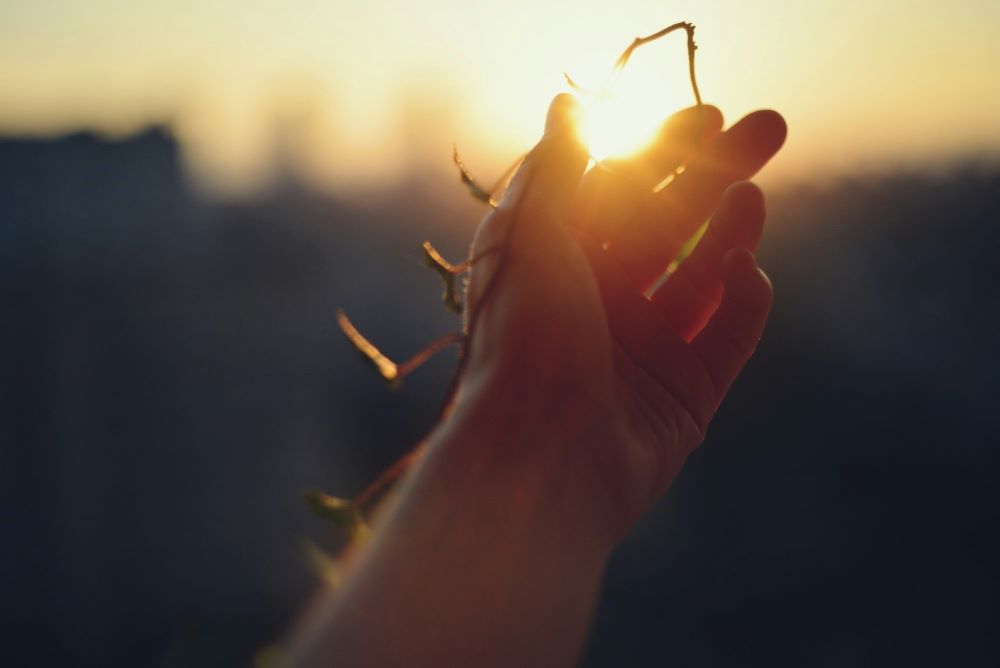Learning to Let Go